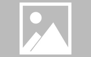 荣成网页设计英文默认字体（网页设置英文转换中文）